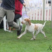 CATERINA Loyal-Point