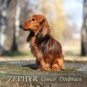 ZEPHYR Elimar Doubrava