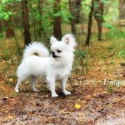 Tiffany Stilish Babe