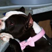 Lola Narcotic of Nimilioxus 