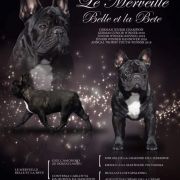 LE MERVEILLE Belle et la Bete