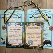 Словацький копов