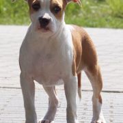 NOTHING GONNA STOP US z Wiślanego Portu