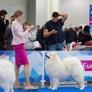 Zlat Imperiya Grand Dog In The World 