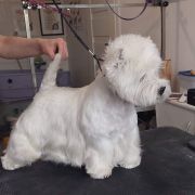 Lover Masaradee Flow