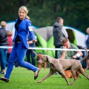 NANA GREY Weimarpark