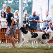 Gorgana Malowana Izba