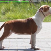 NOTHING GONNA STOP US z Wiślanego Portu