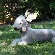 TREVINA Slim Extreme - TULLIA