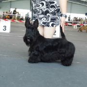 KONCEPT OMENA z Księżopola 