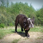 AUGUSTYNKA z Krainy Szczescia