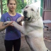 Зарина