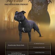 Solfarino ONLY FAITH IS OUR STRENGHT