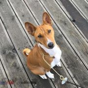 Bahaticca`s EVER FELICITY