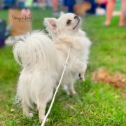 Crystal Natali Vincent 