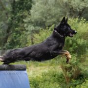 Ero vom Niederbühler Tor