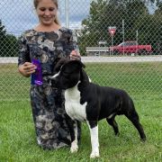 MISTER BUFFALO Pokerowy Żywot