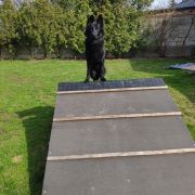 HINATA z Rudzkiej Watahy