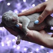 Batti Cuore PRIMO BACIO