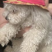 Mohito Rockowe Perły