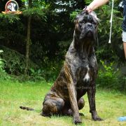 A PROMISE OF VICTORY Your Destiny FCI