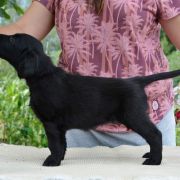 LUCKY LU SUNNY DAY From The Moominvalley