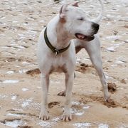 TRANQUERA DEl Ojo en la Mano 