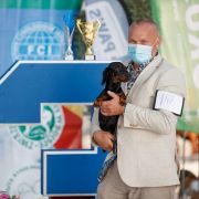 Picollo Teckel Negra Leono