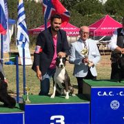 ​Ring Legend's Ronda Rosy