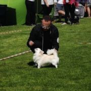 YOUNG LOVER SECRET OF ANGELS