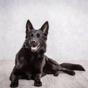 DIRMA Jarkowski Dwór