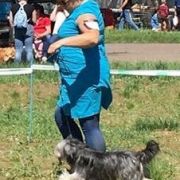 JAZZY FOR HAFIZ-CHAIR