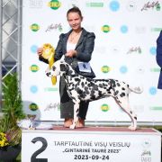 Dalylove Daragaja Sara