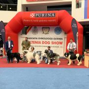 Greuceanu Roua de Partos