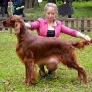 Irish Future (FCI) Diamond Sky 3