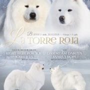 BIENVENIDAS LA TORRE ROJA 