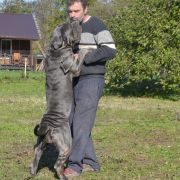 кани античи дель мондо тиффани