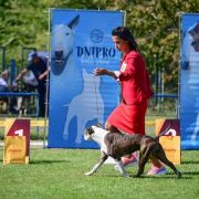 QUEEN OF SPADES VIA FORTUNA