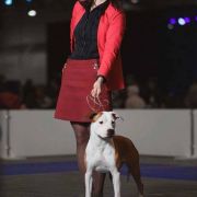 Her Beauty Overthrew You Via Fortuna