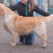  Ch. Swift Spoor-Finder Kattyval 