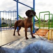 CHANELL Posokowce z Weroniki