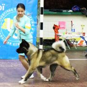 UKR JCH Reachy Action Sharon Florance