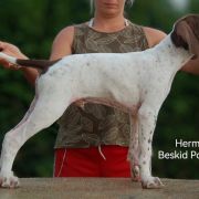 Hermon Beskid Point (FCI) 