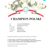 CHPL Z Ledulandu BARBIE-BARA