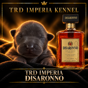 TRD IMPERIA DISARONNO