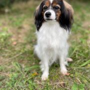 JUDY Beautiful Secrets(FCI)