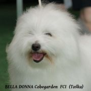 BELLA DONNA Cobegarden (FCI)