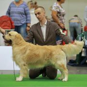 Mister skywalker forward Ukraine