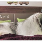 GENEVIEVE de Pont Euxn