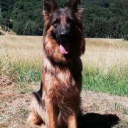 Arrika Leidenschaft Poland 